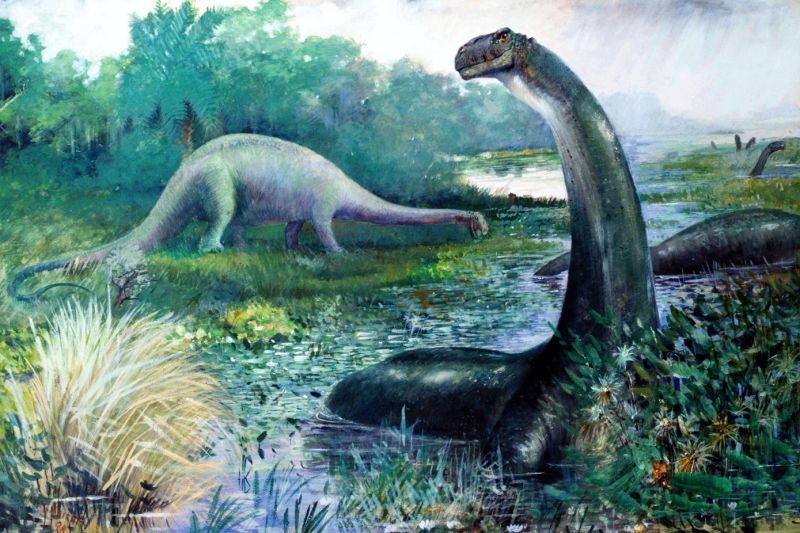 Brontosaurus. - klikněte pro zobrazení detailu